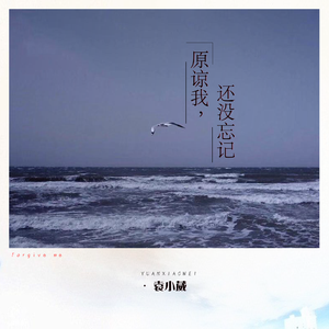 小伙子和老妇videos
